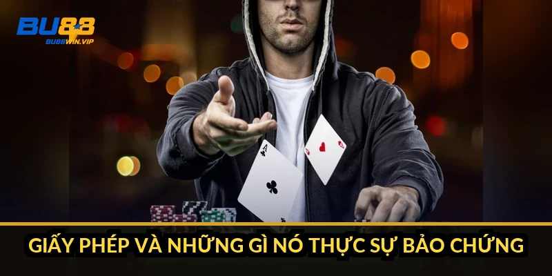 Giấy phép và những gì nó thực sự bảo chứng