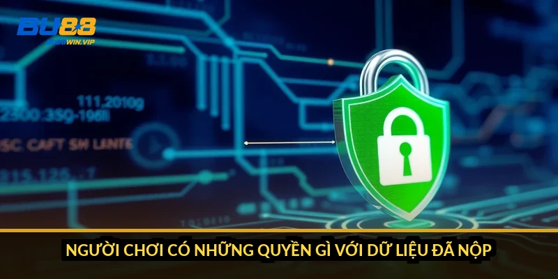 Người chơi có những quyền gì với dữ liệu đã nộp